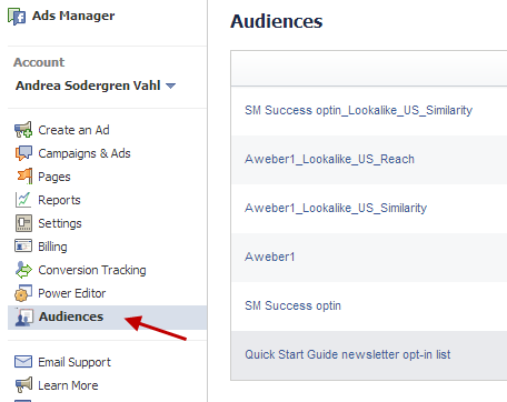 custom audiences ads manager