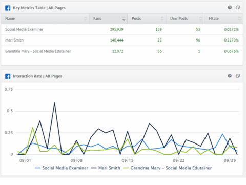 Average Facebook Page Performance – [Infographic]
