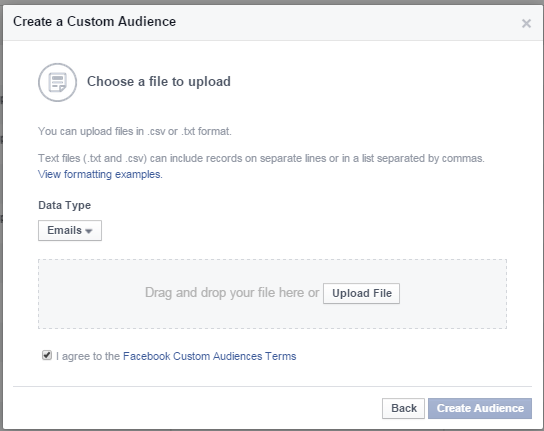 Create a Facebook Custom Audience