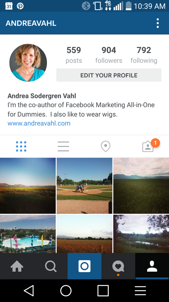 Instagram profile