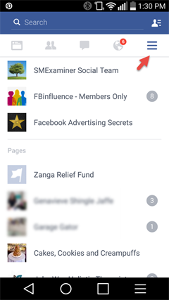 facebook app to access pages