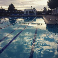 Training at the pool