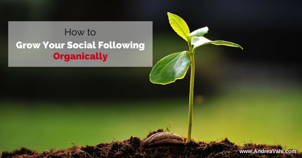 How to grow your social following