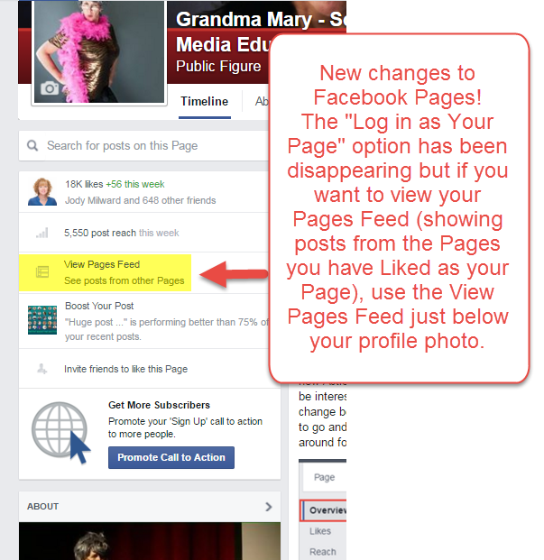 View Your Facebook Pages Feed