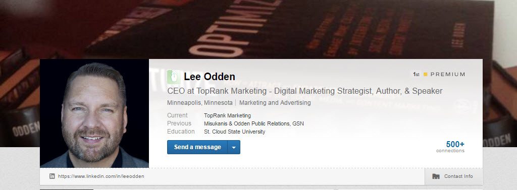 lee odden linkedin