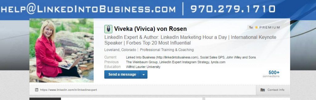 viveka von rosen linkedin