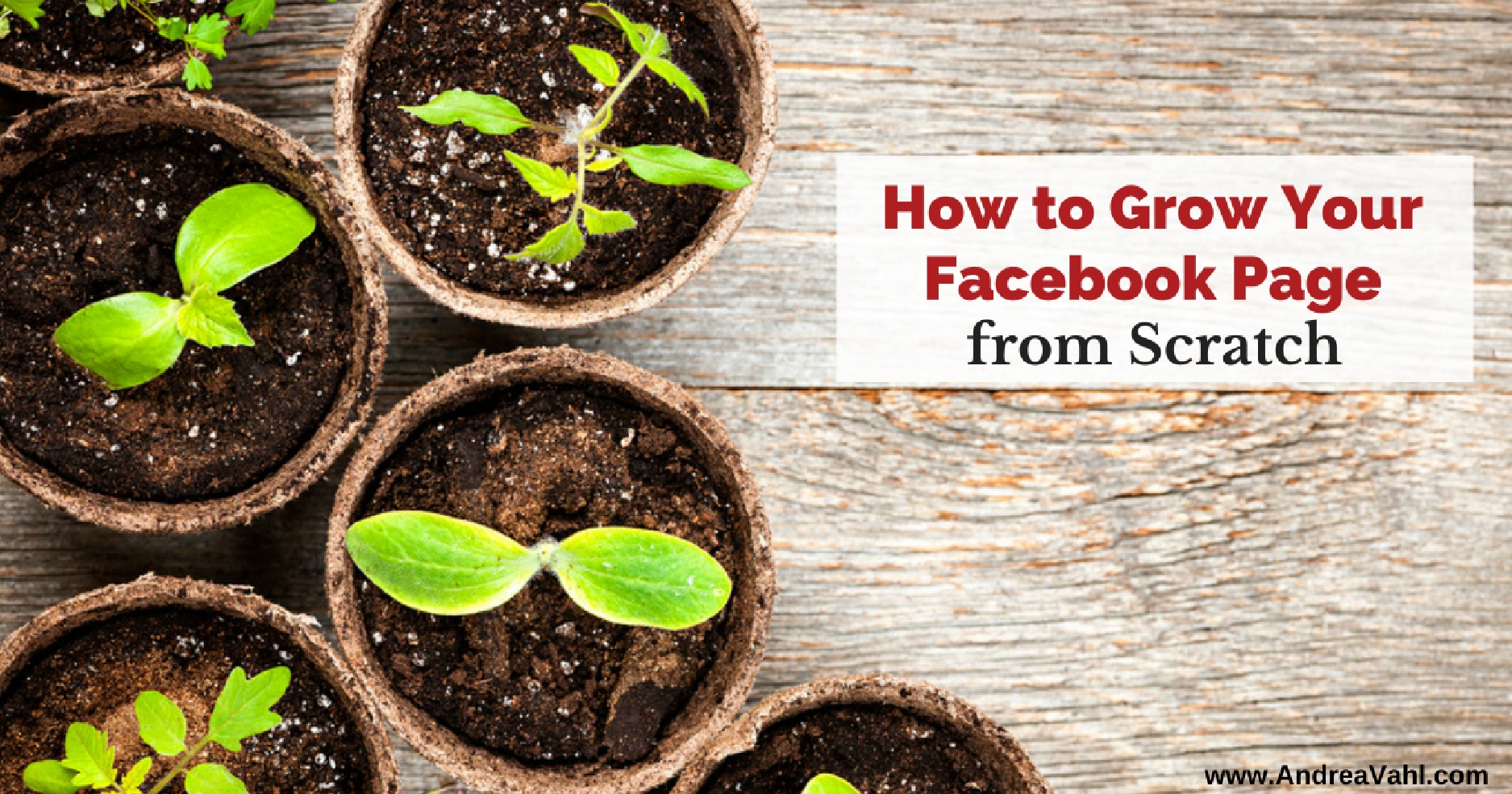 How to Grow Your Facebook Page from Scratch