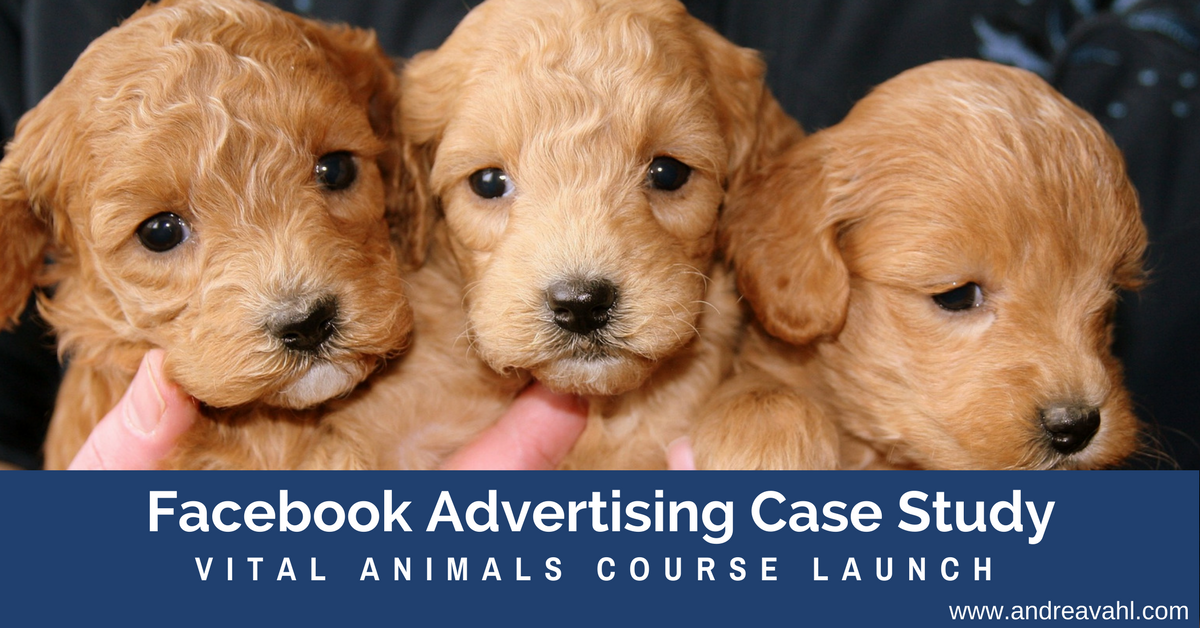 Facebook Ads Case Study:  Vital Animals Course Launch