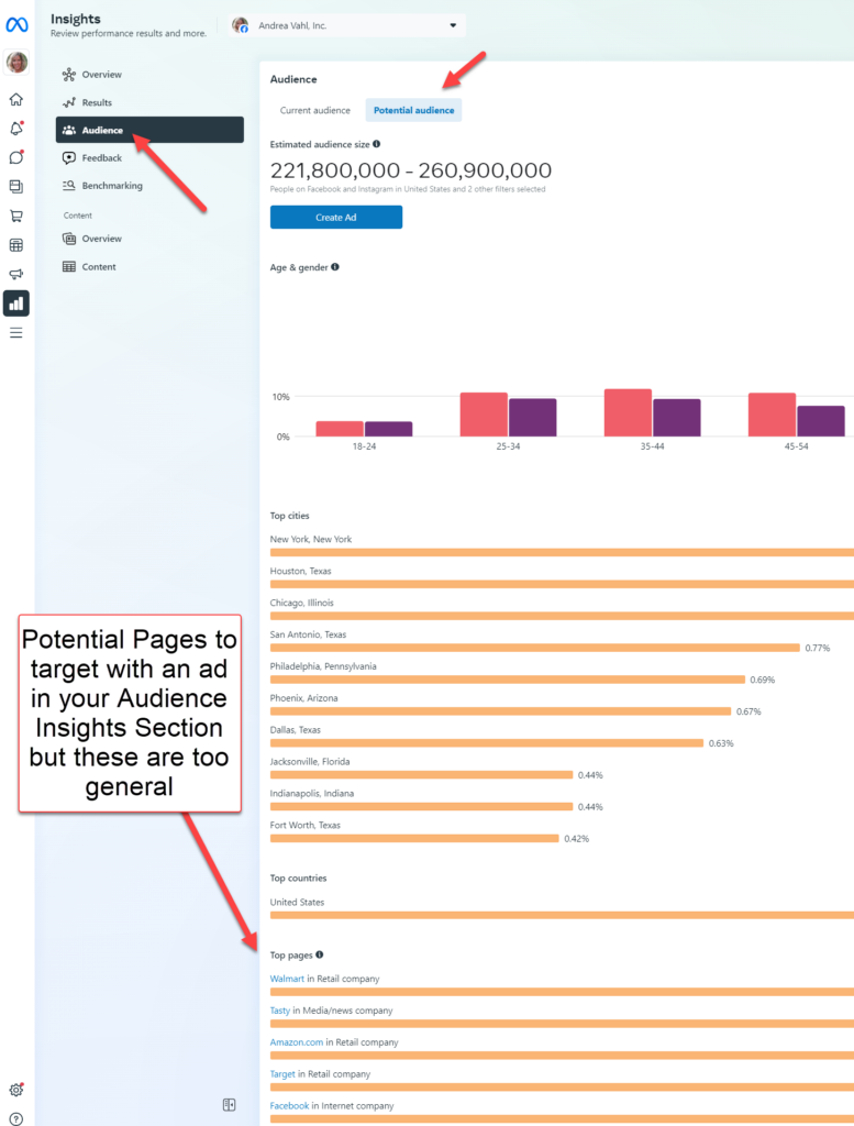 Audience Insights Facebook Page