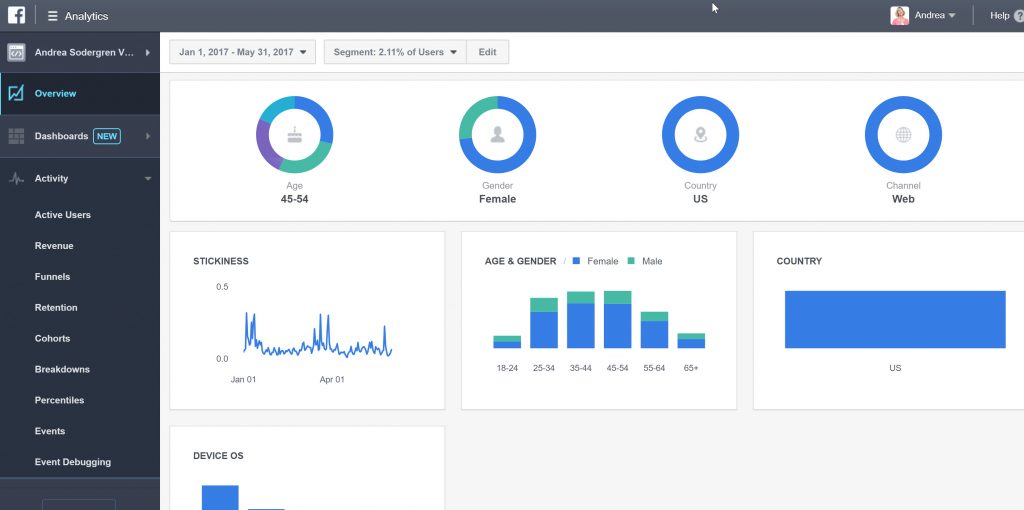 Demographics of website visitors Facebook Analytics