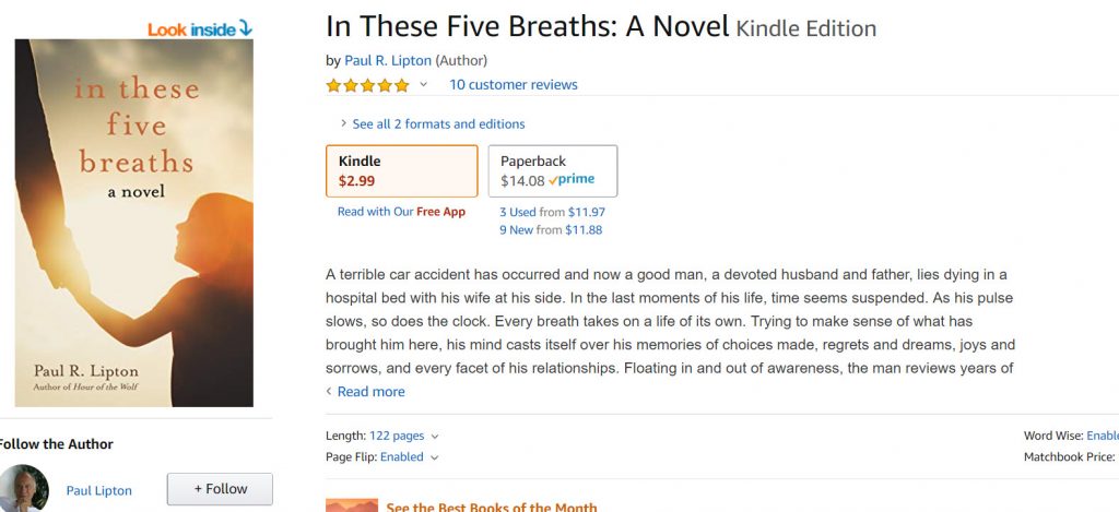 In these 5 breaths novel