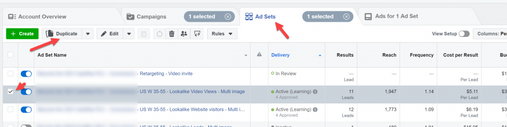 Duplicate at the Ad Set Level
