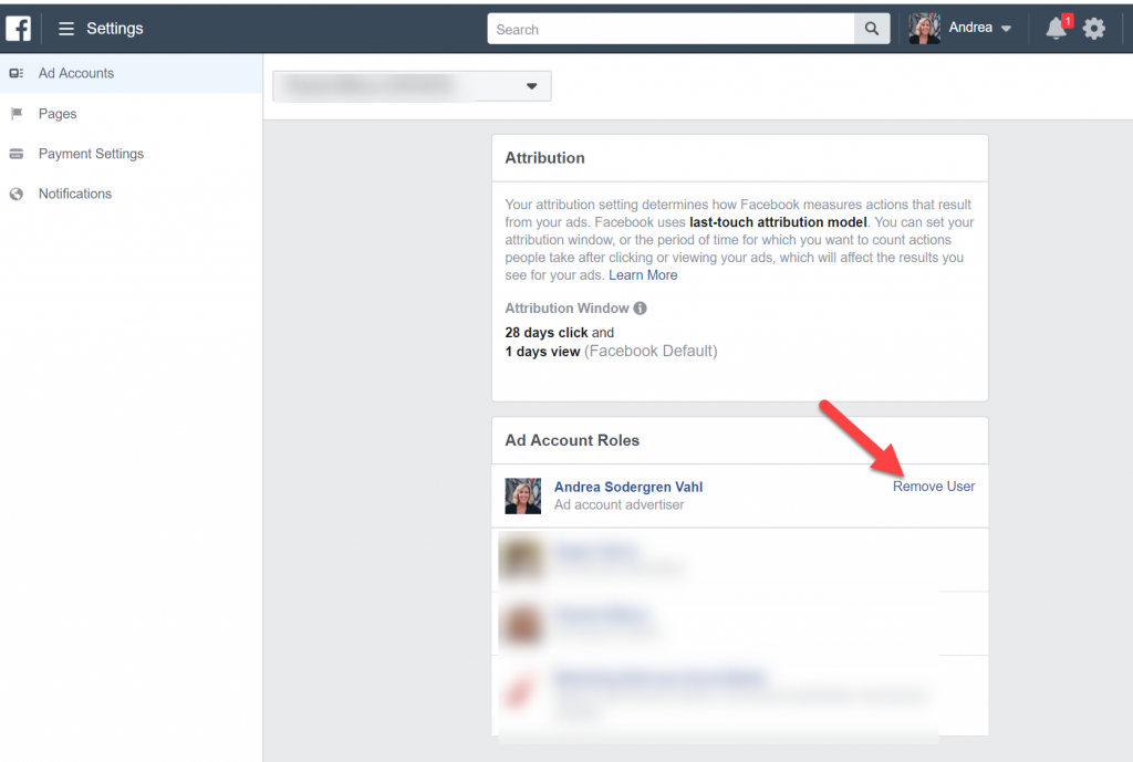 Remove user Facebook Ads Account