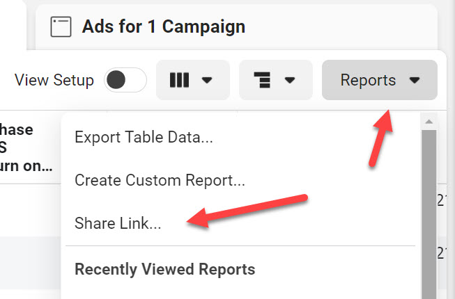 Send Facebook Ads report to client